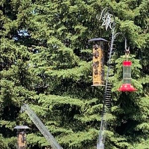 Meet your Posher, Rick